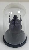 Mini Globes Eunoplotrupes sharpi