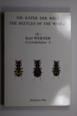 Cicindelidae III
