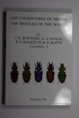 Carabini III