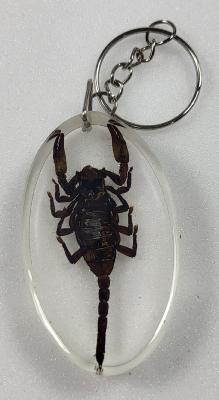 Porte clé scorpion moyen