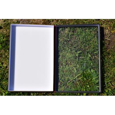 Boite entomologique deluxe fond blanc 39x26x5.5