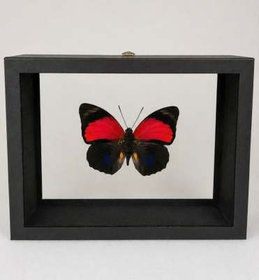 CREATIONS 20 x 15 cm