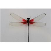 Libellule sp 1 rouge