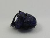 Phanaeus lancifer mâle