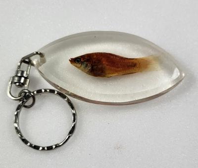 Porte clé Poisson moyen