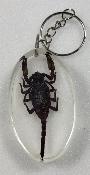 Porte clé scorpion moyen
