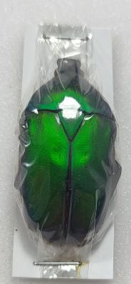 Torynorrhina flammea vert