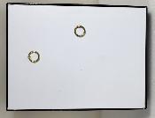Boite cloche 20x15 fond blanc
