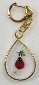 Porte clé coccinelle contour doré