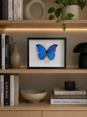 Grand mod�le 20x25 cm