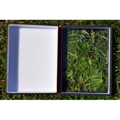Boite entomologique deluxe fond blanc 20x15x5.5