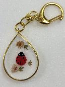 Porte clé coccinelle contour doré