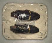 Catoxantha bonvouloirii couple