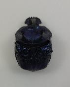 Phanaeus lancifer mâle