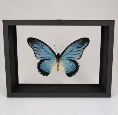 CREATIONS 24 x 18 cm