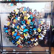 Double verre 1m x 1m x 7 cm divers papillons multicolores